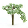 5"SEDUM PICK DUSTY GREEN