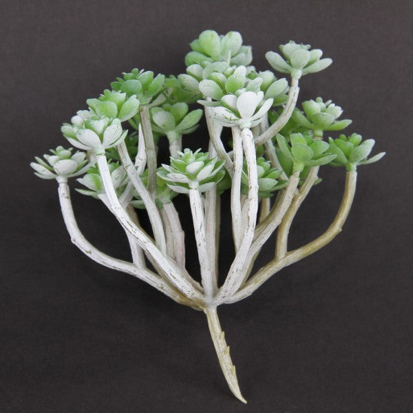 6.3"SOFT SEDUM PICK GR/GRAY