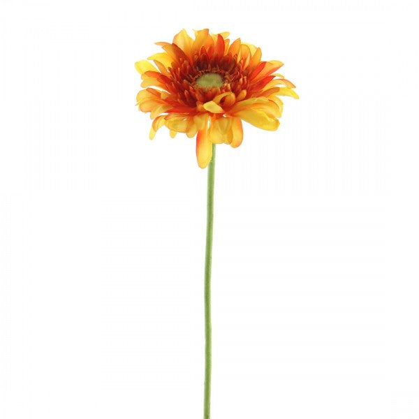 19 INCH GERBERA DAISY SPRAY