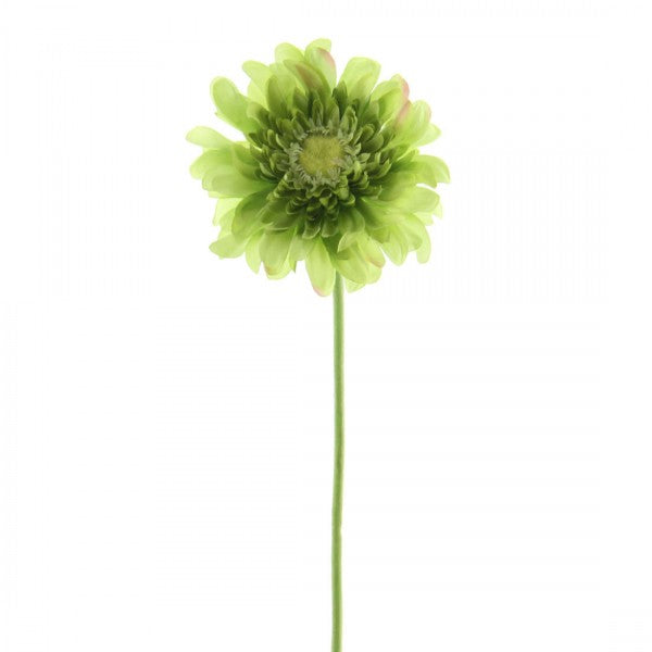 19 INCH GERBERA DAISY STEM