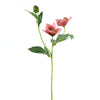 22"HELLEBORUS SPRAY