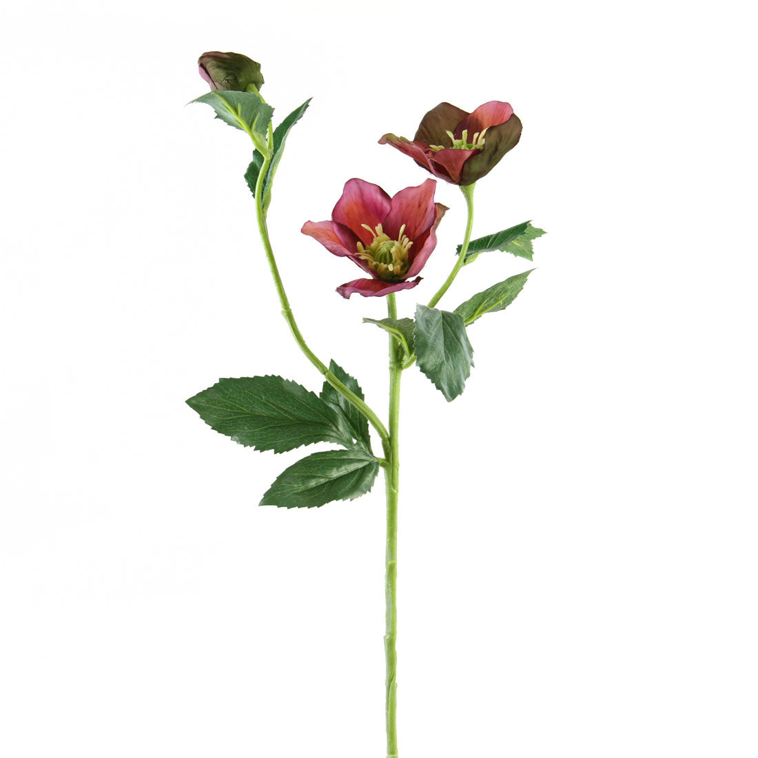 22"HELLEBORUS SPRAY VIOLET