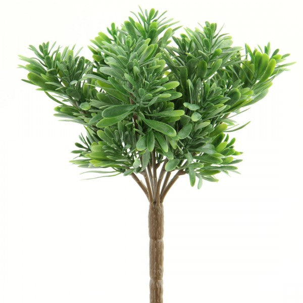 9"PLAS.SUCCULENT GRASS BUSH