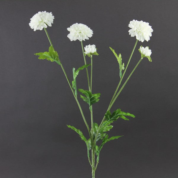 28"POM POM MUM SPRAY CREAM