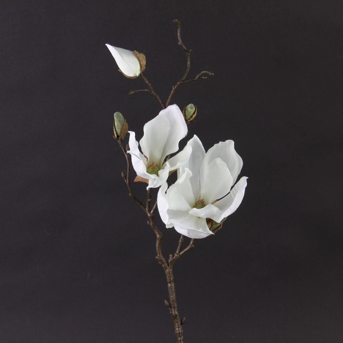 19"MAGNOLIA SPRAY CREAM
