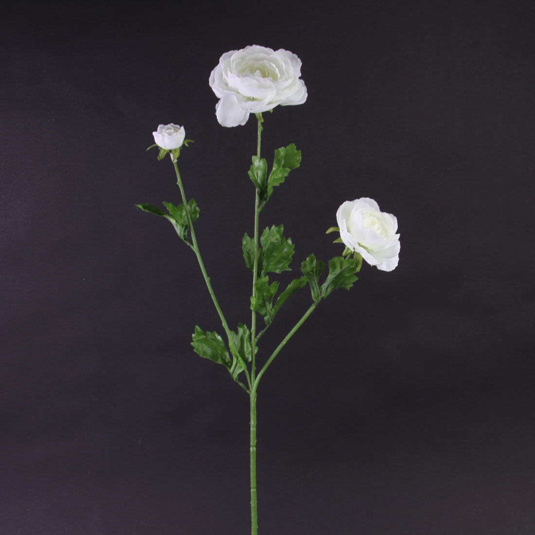 27"RANUNCULUS SPRAY X3 CREAM