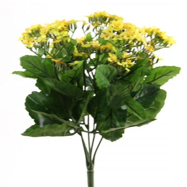 13.5" KALANCHOE BUSH