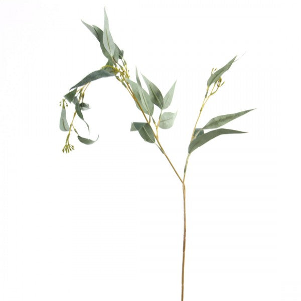 EUCALYPTUS SPRAY X2 GREEN