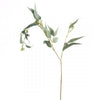 EUCALYPTUS SPRAY X2 GREEN