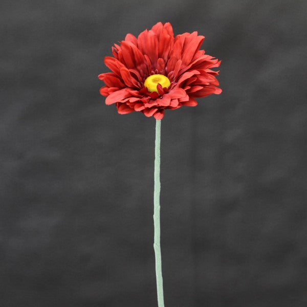 39"JBO GERBERA DASIY SPRY A4
