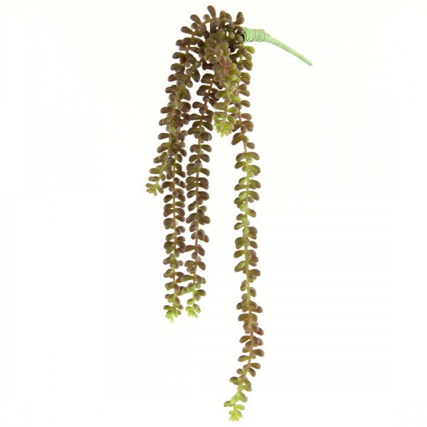 19" SEDUM VINE BURG/GREEN