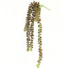 19" SEDUM VINE BURG/GREEN