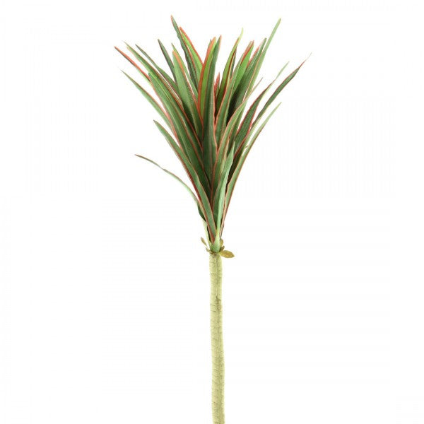 23"MINI YUCCA SPRY GRN/RD A25