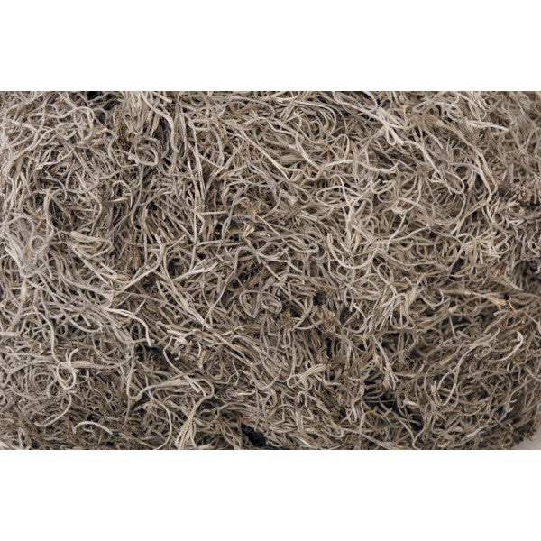 SPANISH MOSS /NATURAL
