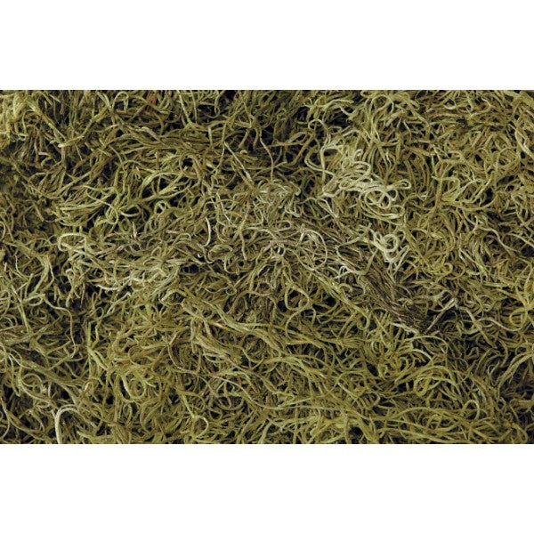 1LB SPANISH MOSS LT. GREEN