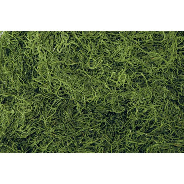 SPANISH MOSS 1LB GREEN