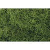 SPANISH MOSS 1LB GREEN