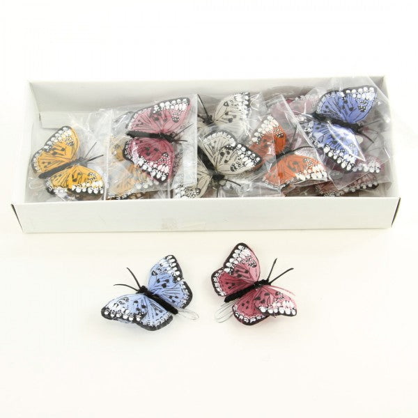 2.5"NAT.BUTTRFLY 2DZ/BG A4