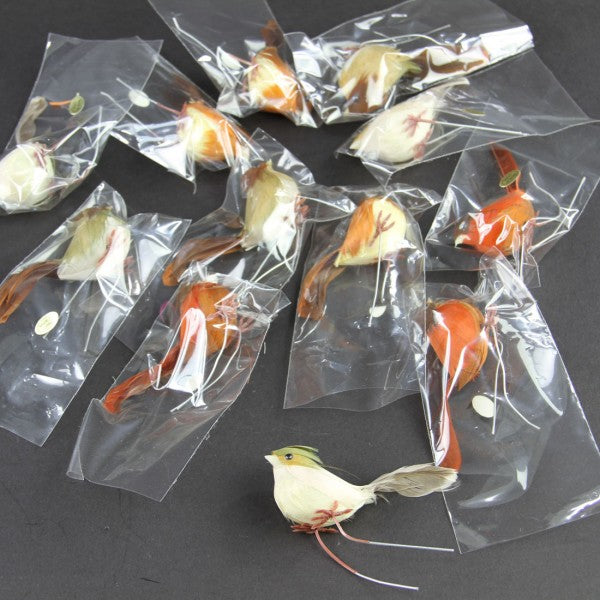 2.5"WREN ASST 1DZ/BX A25