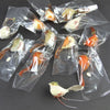 2.5"WREN ASST 1DZ/BX A25