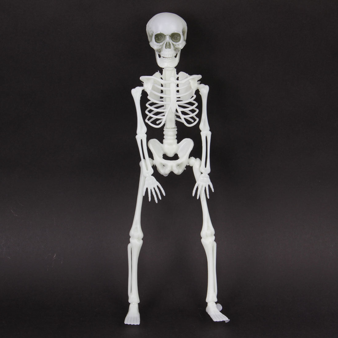 15.75"HANGING SKELETON