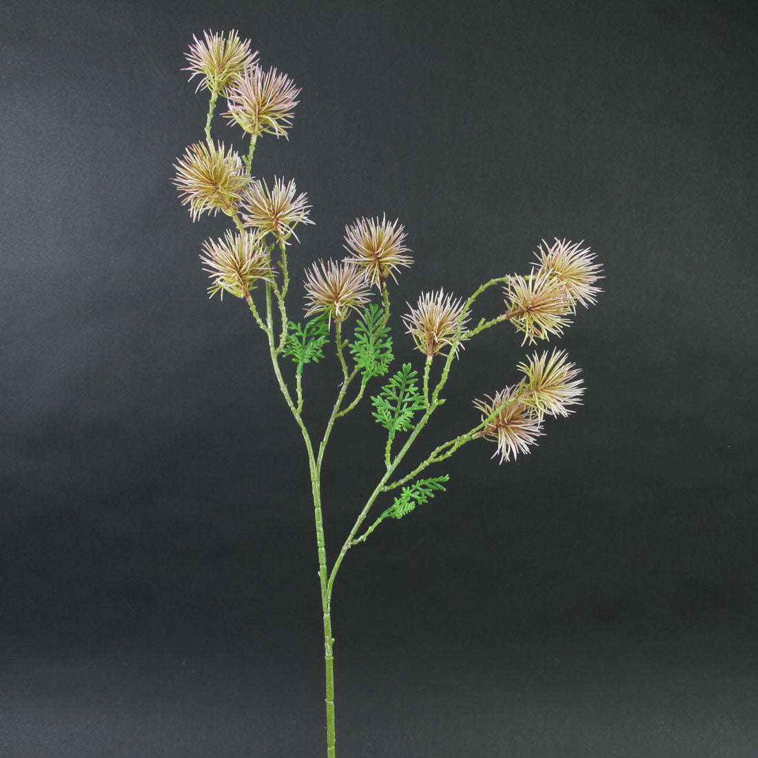 27"SPINY POD SPRAY