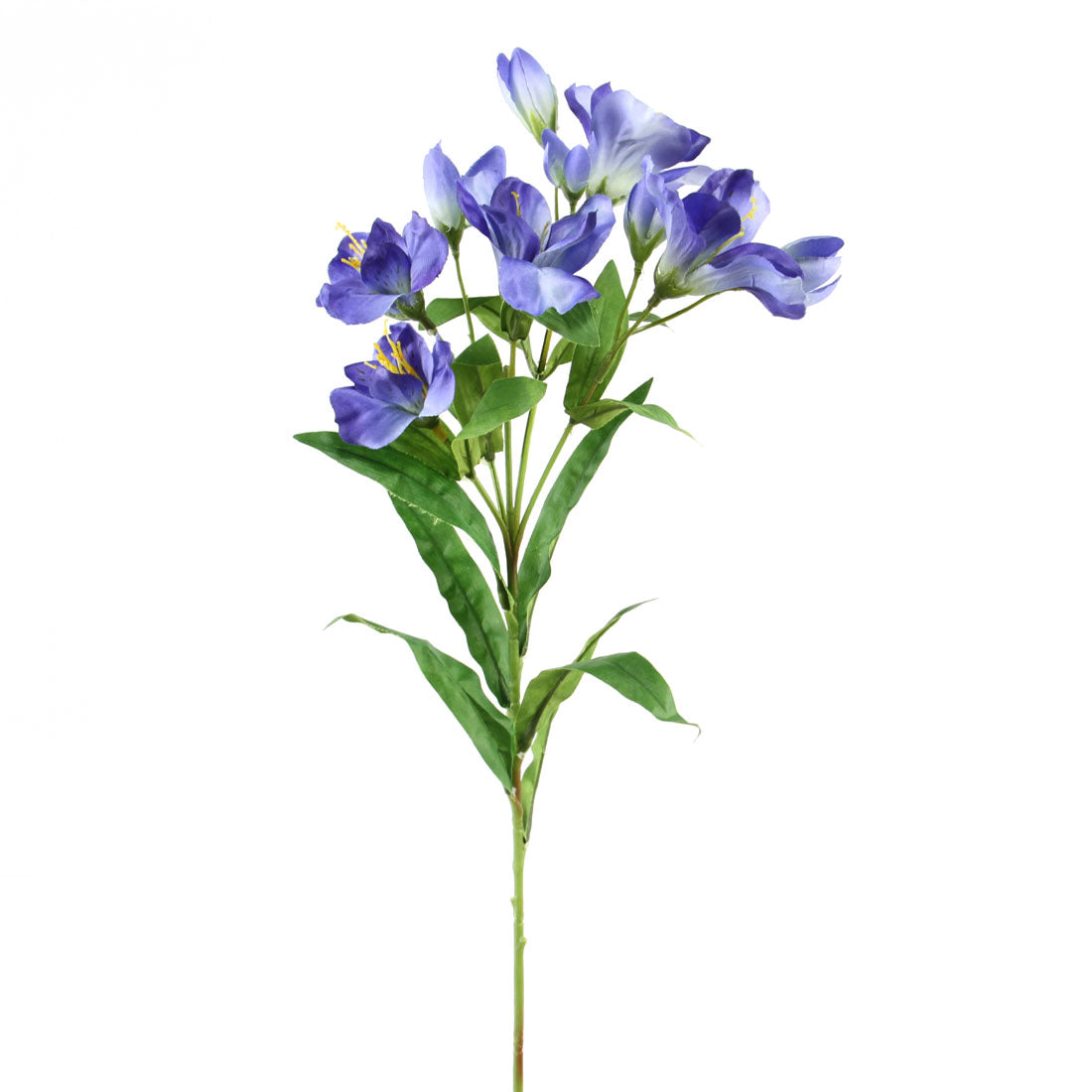 24"ALSTROEMERIA X10 BLUE