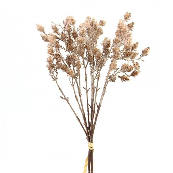 MINI CONE BRANCH 3/BU