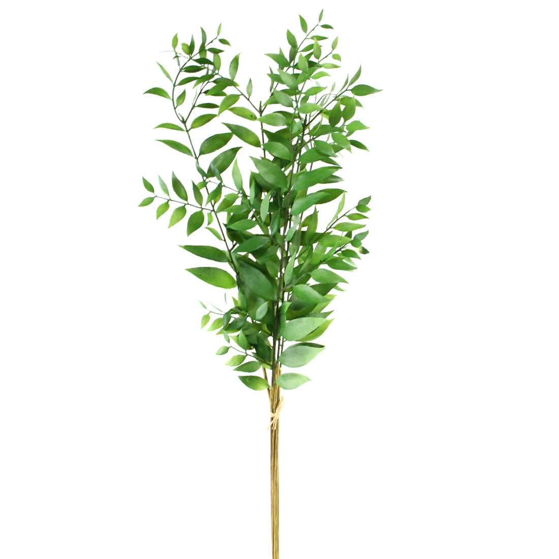 33"SMILAX LEAF BUN.GREEN
