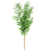 33"SMILAX LEAF BUN.GREEN