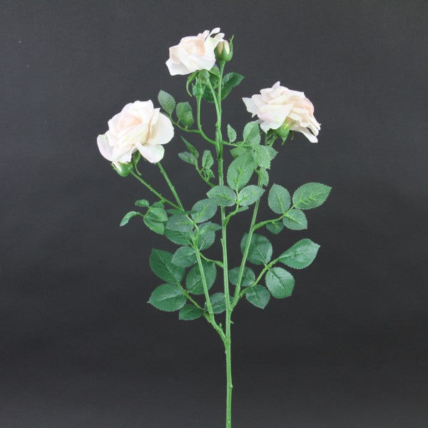 24"CURLED GARDEN ROSE BLUSH
