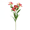 24"ALSTROEMERIA X10 MAGENTA