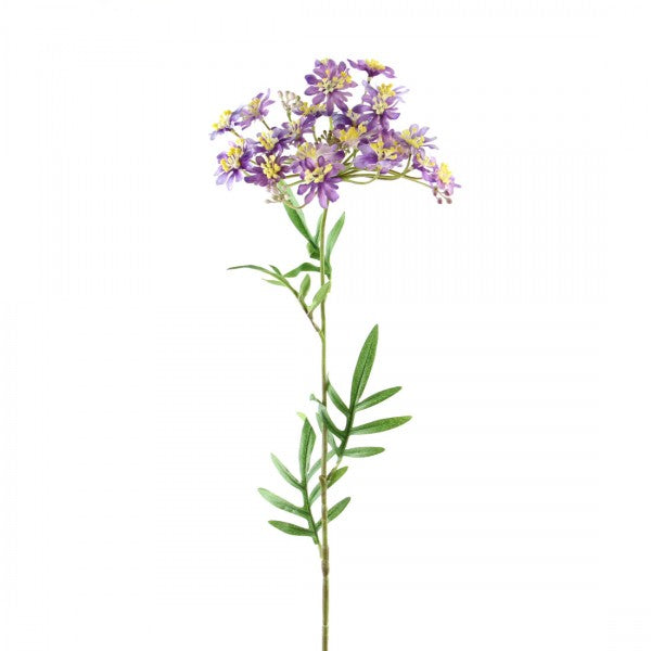 28"QUEEN ANNE'S LACE PURPLE