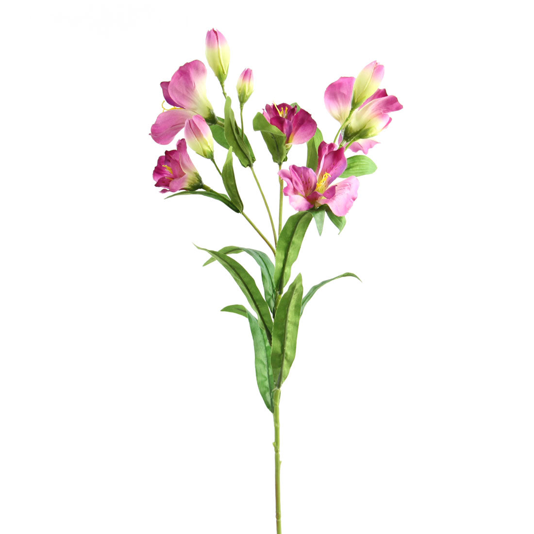 24"ALSTROEMERIA X10 FUCHSIA