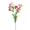 24"ALSTROEMERIA X10 FUCHSIA