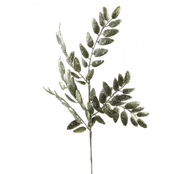 21" GLT.RUSCUS SPRAY A25