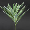 10"DRACAENA PICK GREEN/WHITE