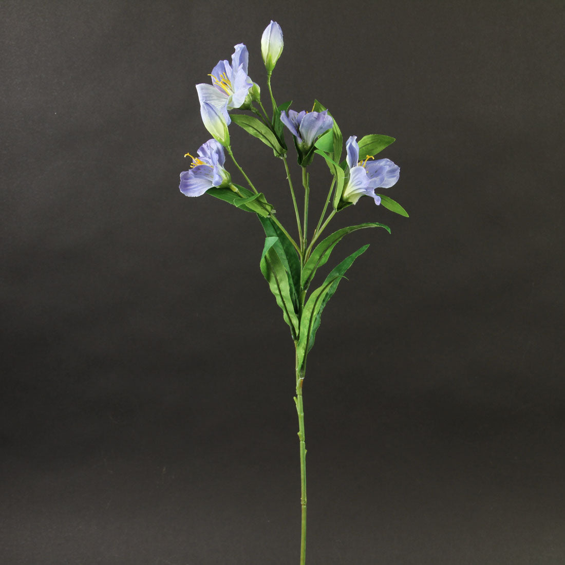 24"ALSTROEMERIA X10
