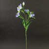 24"ALSTROEMERIA X10