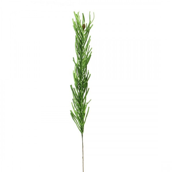 31"SILVER PINE PICK A25