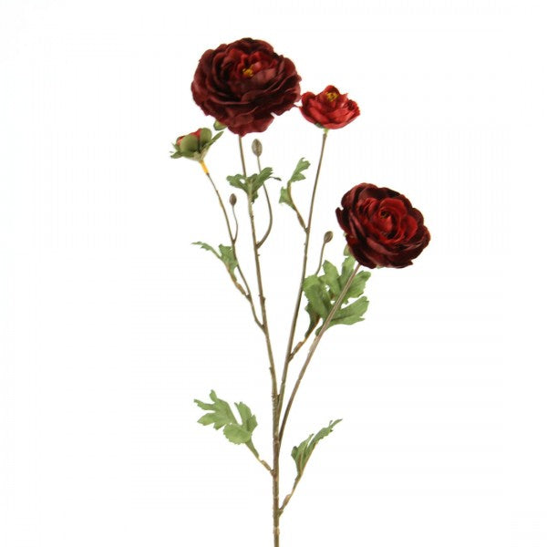 26"RANUNCULUS X3 BURGUNDY