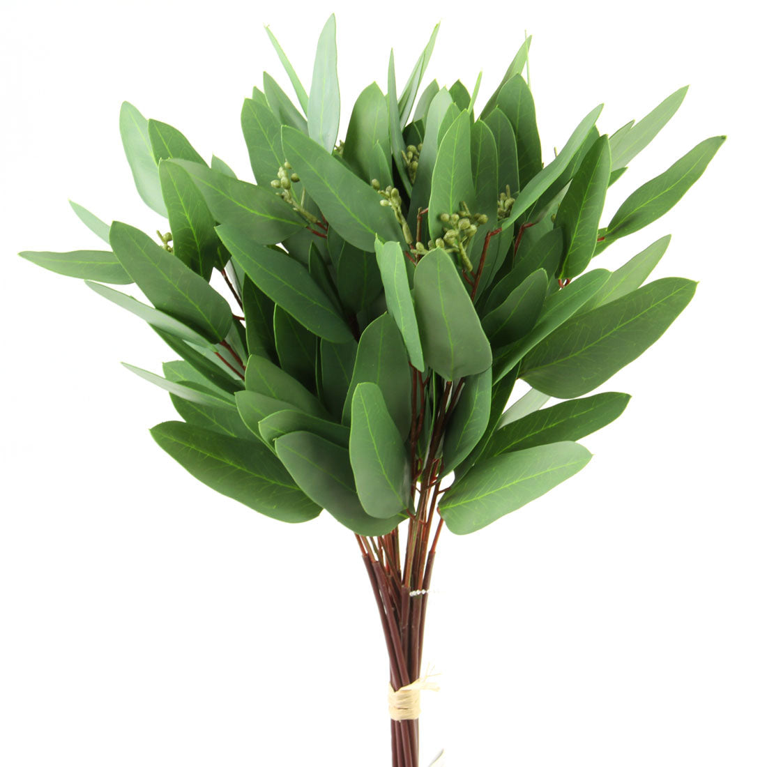 16"NARROW LEAF ECUALYPTUS