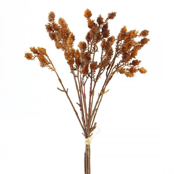 MINI CONE BRANCH 3/BU