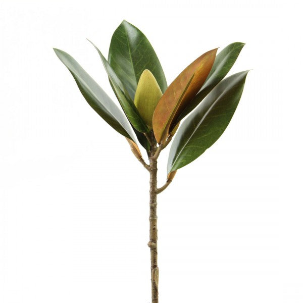 16.5"MAGNOLIA LEAF PICK GRN