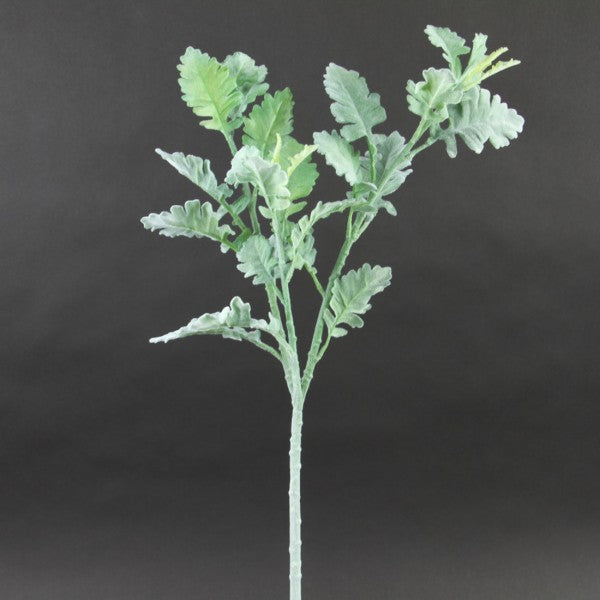 28"DUSTY MILLER GREY/GRN