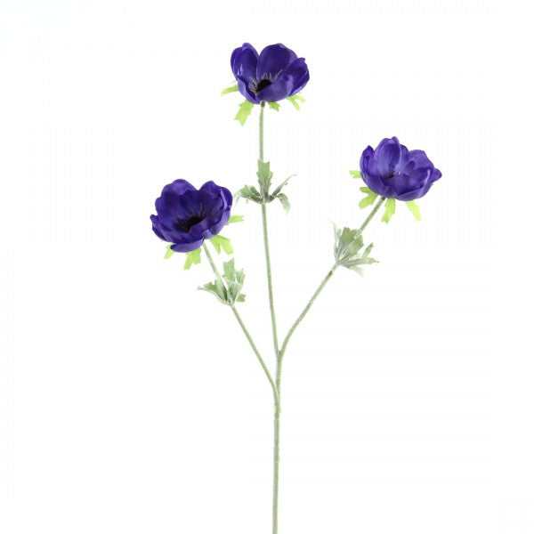 24"ANEMONE X3 BLUE