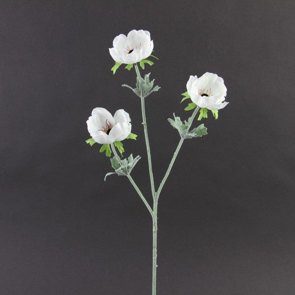 24"ANEMONE X3 CREAM