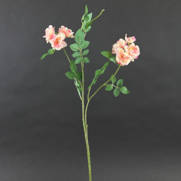 32"RAMBLING ROSE SPRY A4