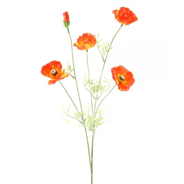 26"WILD POPPY SPRAY X5 ORANGE