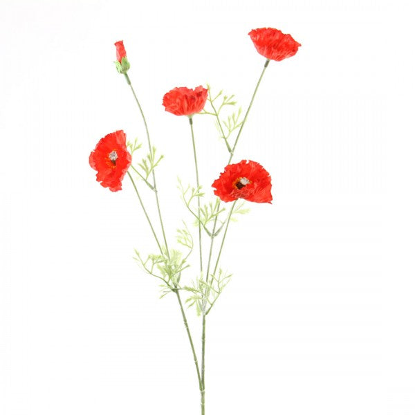 26"WILD POPPY SPRAY X5 RED